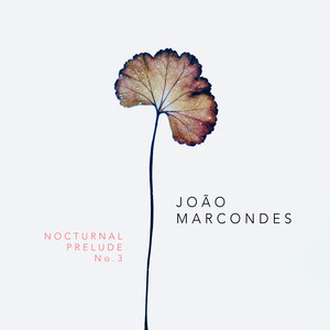 Nocturnal Prelude No. 3