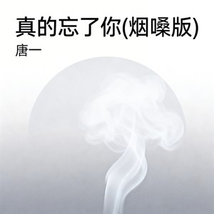 真的忘了你 (烟嗓版)封面