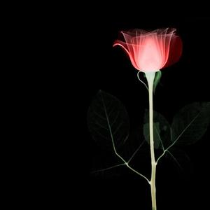 隽永