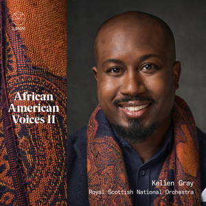 African American Voices II