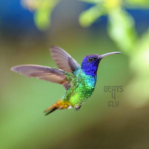 Enter on top (Radio Edit)