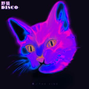 野猫DISCO (Single Version)