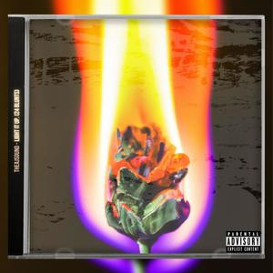 light it up. (24 blunts) [Explicit]