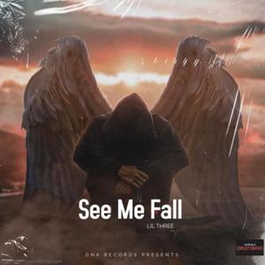 See Me Fall (Explicit)