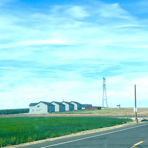 BorrowedTime (Explicit)