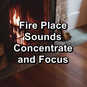 Fire Place Sounds Concentrate and Focus
