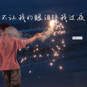 不让我的眼泪陪我过夜