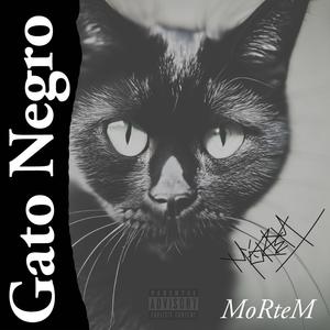GATO NEGRO (Explicit)