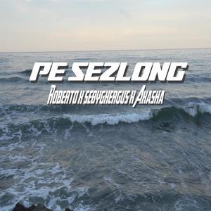 Pe Șezlong (feat. sebyghergus & Akasha) [Explicit]