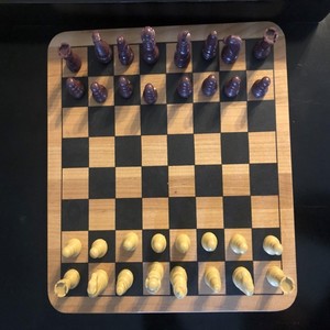 The Chess Game