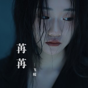 苒苒