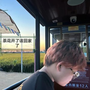 茶花开了，该回家了-康健