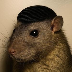 WE ONLY OUTSIDE (Explicit)