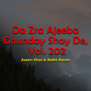 Da Zra Ajeeba Ghunday Shay De, Vol. 202