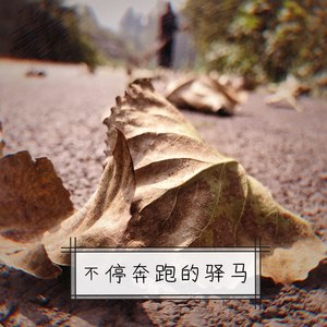 不停奔跑的驿马