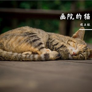 画院的猫