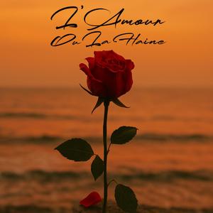 L'amour ou la haine (feat. Tolga)