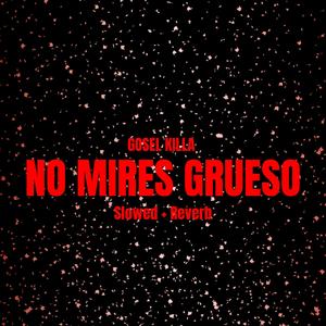 No mires grueso (Slow + Reverb) (Explicit)