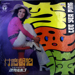 我该怎么办 (黑胶版)