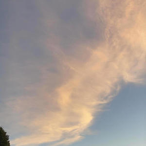 2 much (feat. F1ordiadrip, Kenxst, luvsmoke & Mikevalid) (Explicit)