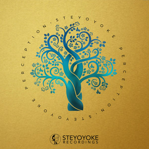 Steyoyoke Perception, Vol. 07