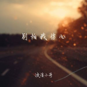 别怕我伤心