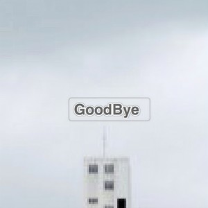 Goodbye