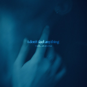 i don't feel anything