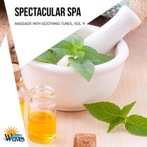 Spectacular Spa - Massage with Soothing Tunes, Vol. 9