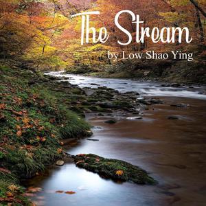 The Stream