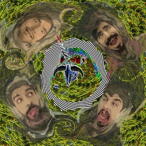 Fusion