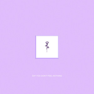 Say You Don't Feel Nothing (Explicit)