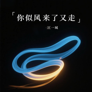 你似风来了又走