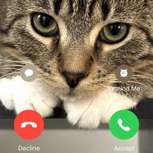 think about it (Explicit)