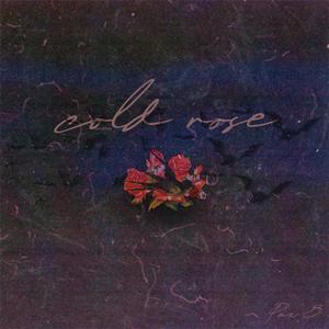 cold rose...