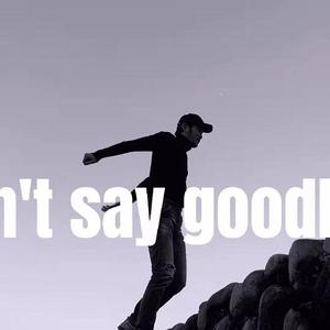 Don't say goodbye (Live)