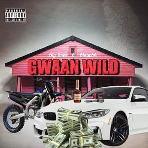 Gwaan Wild (Official Audio) (feat. BleachA ) [Explicit]