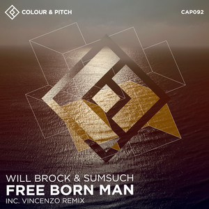 Free Born Man (Vincenzo Remix)