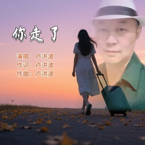 你走了我心痛 (和声版伴奏)