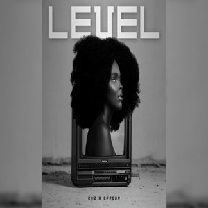 Level