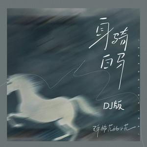 身骑白马 (pay姐DJ版)封面