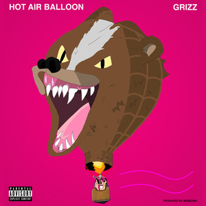 Hot Air Balloon