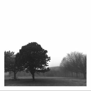 SSM (feat. SirFranktheFourth) (Explicit)