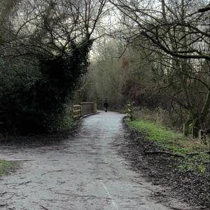 giving up, giving love