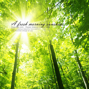 상쾌한 아침햇살 (Refreshing morning light)