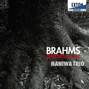 Brahms: Piano Trios No.1 & No.2