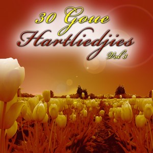 30 Goue Hartliedjies, Vol. 3