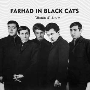 Farhad in Black Cats: Studio B Show
