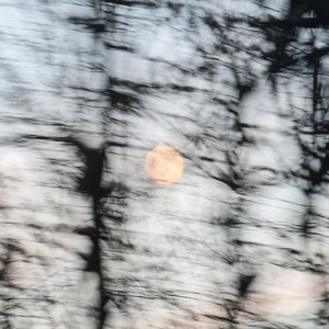 Float Like (Explicit)