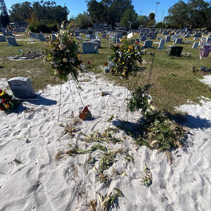 dog bros undefeated (feat. tjxyexxl, jreezy & lilwestside1600) (Explicit)